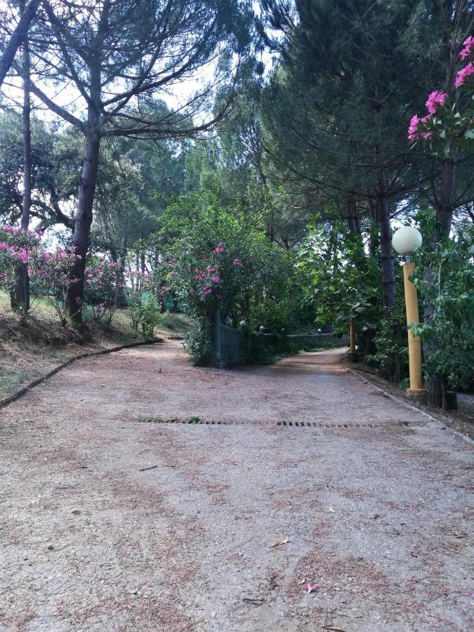 Finca Rural Labriega Del Hueznar Казалла де ла Сиерра Экстерьер фото